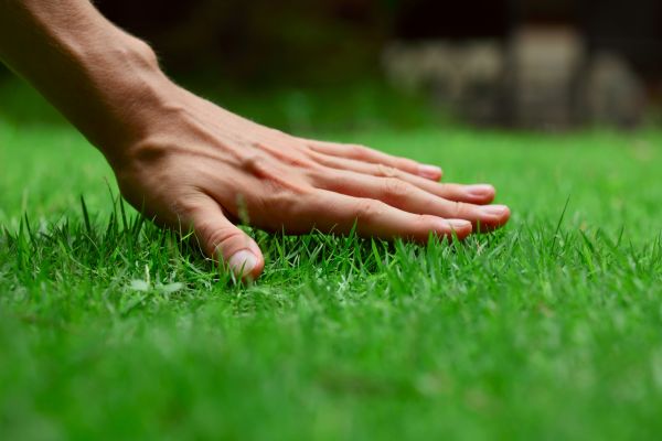 Green Bay Lawn Treatment
