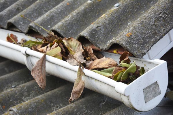 Green Bay Gutter Cleaning